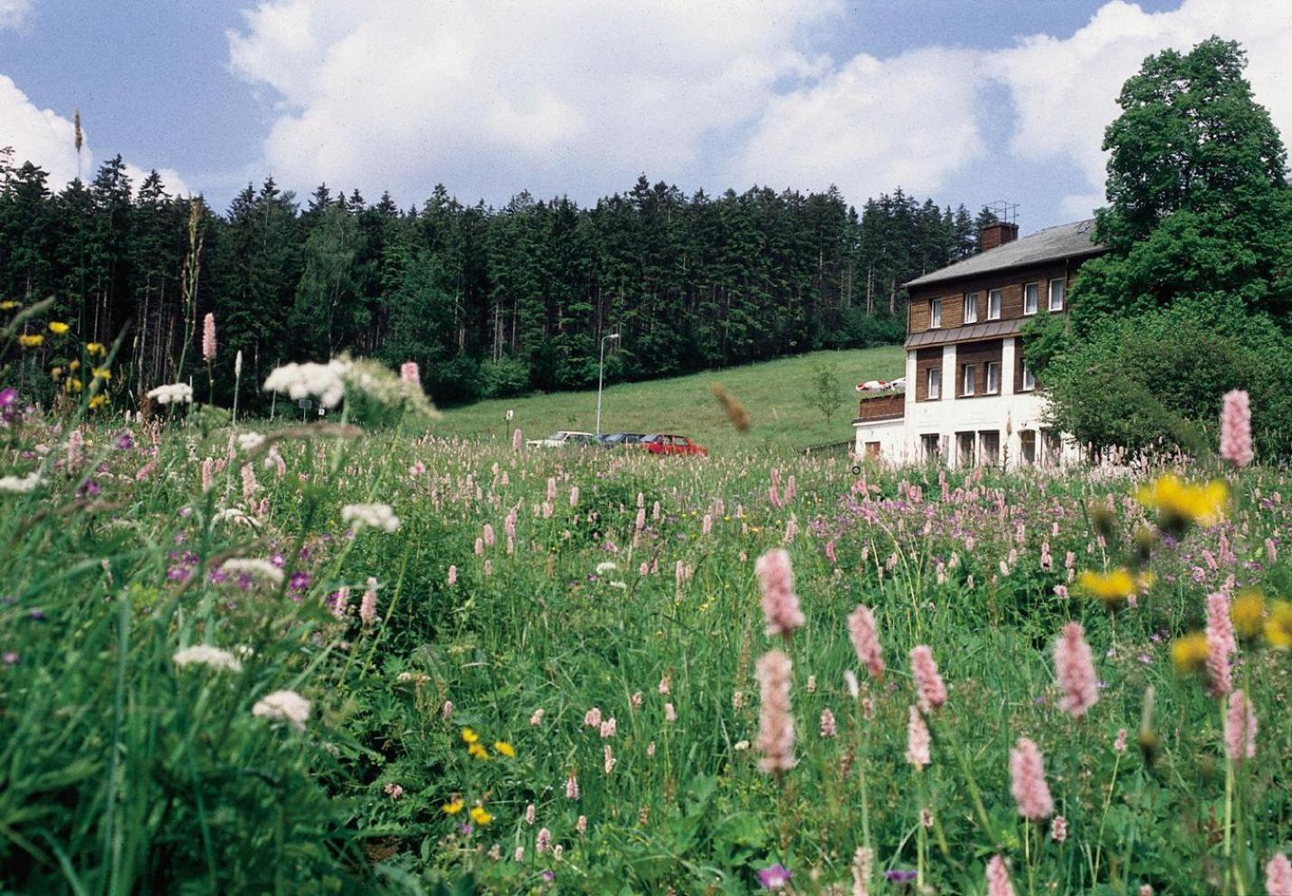Landhaus Bergidyll Bärenstein Zewnętrze zdjęcie