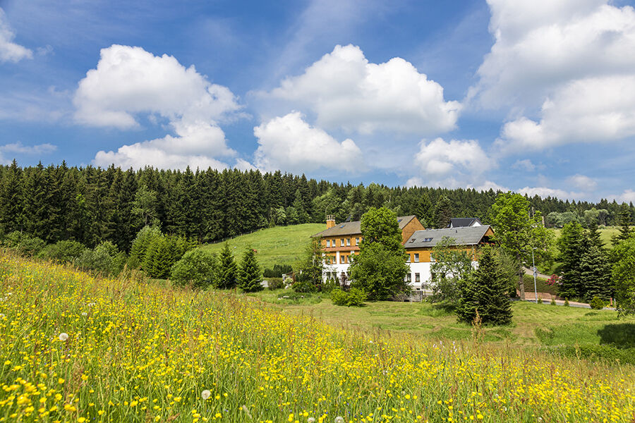 Landhaus Bergidyll Bärenstein Zewnętrze zdjęcie