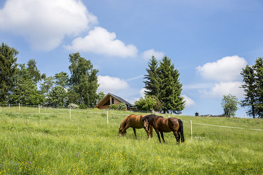 Landhaus Bergidyll Bärenstein Zewnętrze zdjęcie