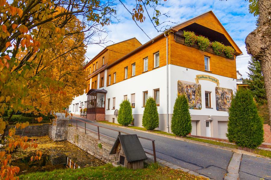 Landhaus Bergidyll Bärenstein Zewnętrze zdjęcie