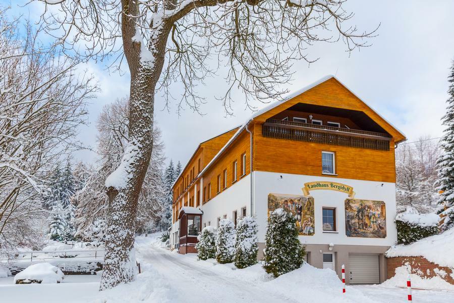 Landhaus Bergidyll Bärenstein Zewnętrze zdjęcie