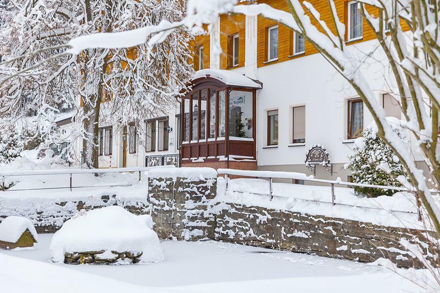 Landhaus Bergidyll Bärenstein Zewnętrze zdjęcie