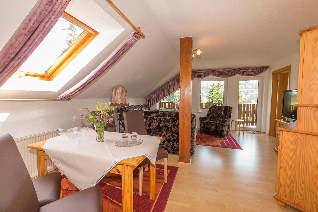 Landhaus Bergidyll Bärenstein Zewnętrze zdjęcie