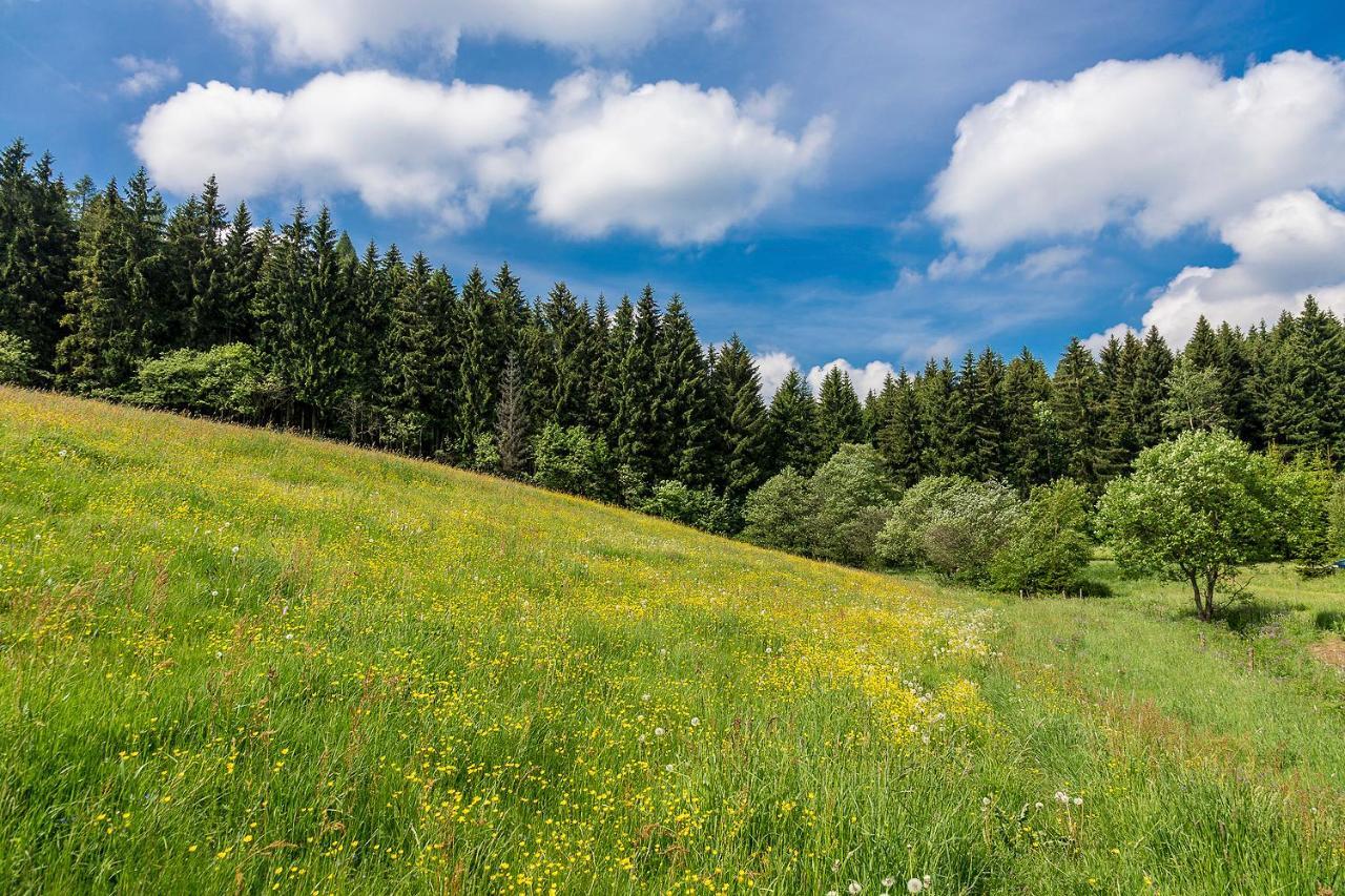 Landhaus Bergidyll Bärenstein Zewnętrze zdjęcie