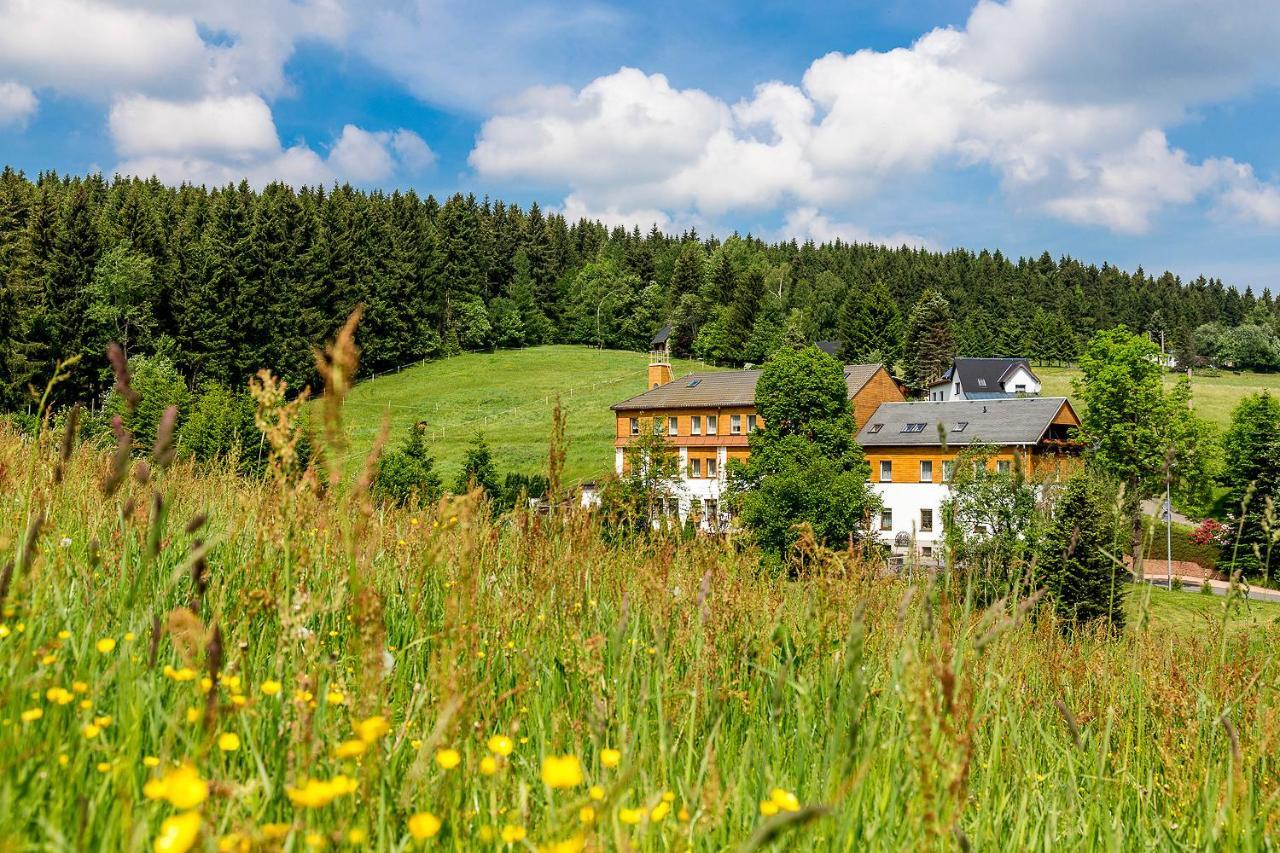 Landhaus Bergidyll Bärenstein Zewnętrze zdjęcie